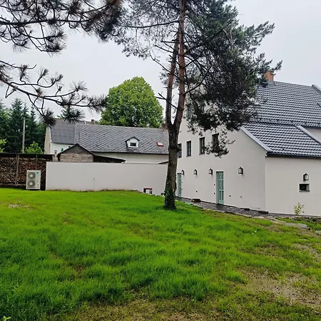 Velka Javorska * Žandov